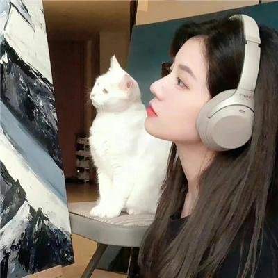 布偶也摇滚第二季