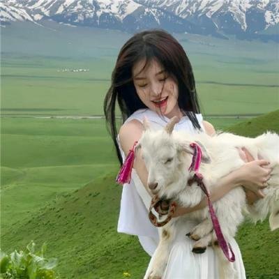 波普先生的企鹅